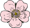 Wild Rose Bloom Clip Art